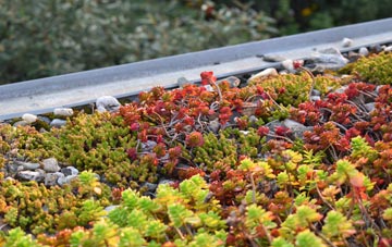 the cost of Crichton green roof installation