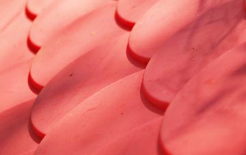 Crichton plastic roof costs