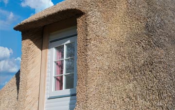 Crichton thatch roof disadvantages